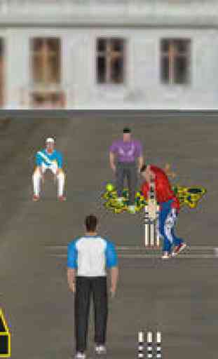 Street Cricket Free 4