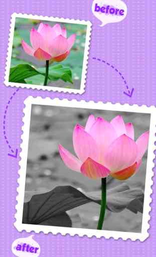 Color Editor - Insta  Photo Recolor &Picture Backgrounds Effects Eraser 4
