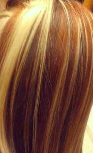 Hair Color 2
