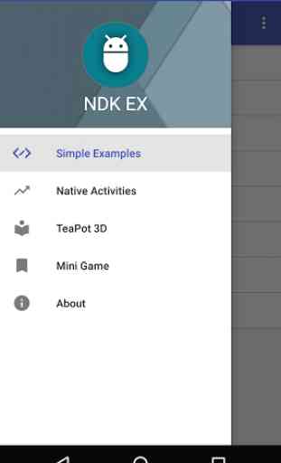 NDK Examples 1
