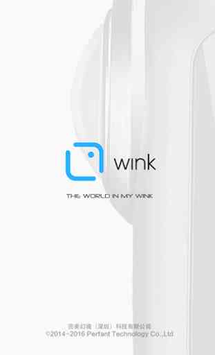 Wink 1