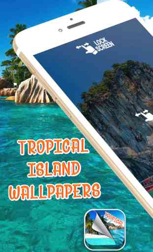 Tropical Island Wallpapers – Beautiful Summer Beach and Palm Trees Pictures 1