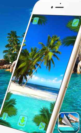 Tropical Island Wallpapers – Beautiful Summer Beach and Palm Trees Pictures 3