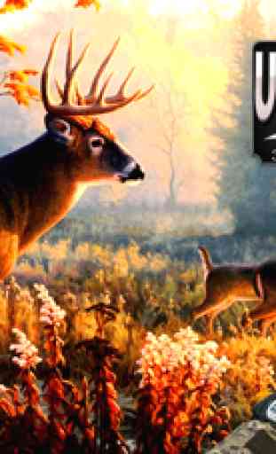 Ultimate Big Deer Hunt 3D Wild Animal Hunting 1