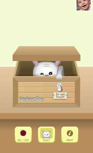 Useless Box - Peek a Boo Toy In a Box 1
