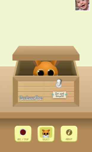 Useless Box - Peek a Boo Toy In a Box 2
