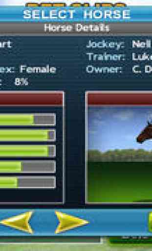 Virtual Horse Racing 3D Lite 2