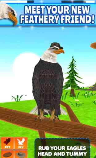 Virtual Pet Eagle 1