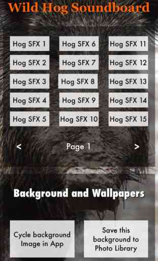 Wild Hog Sound Effects Including Calls, Grunts, Snorts and More PLUS Bonus Wallpapers 1