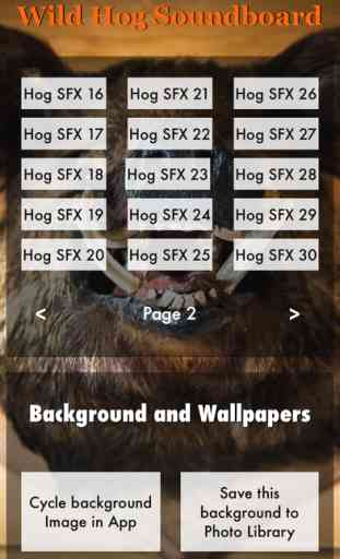 Wild Hog Sound Effects Including Calls, Grunts, Snorts and More PLUS Bonus Wallpapers 2