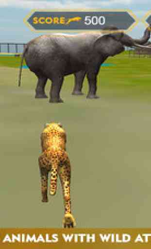 Wildlife cheetah Attack simulator 3D – Chase the wild animals, hunt them in this safari adventure 1
