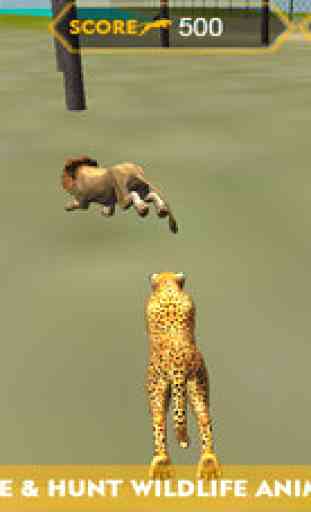 Wildlife cheetah Attack simulator 3D – Chase the wild animals, hunt them in this safari adventure 3