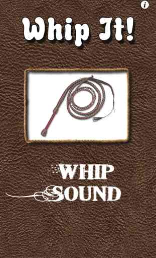 Whip it - Pocket Whip Sounds Pro 1