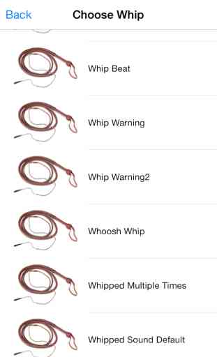 Whip it - Pocket Whip Sounds Pro 2