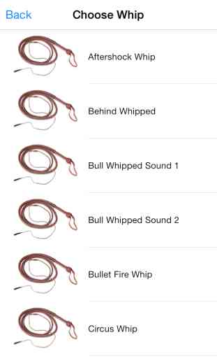 Whip it - Pocket Whip Sounds Pro 3