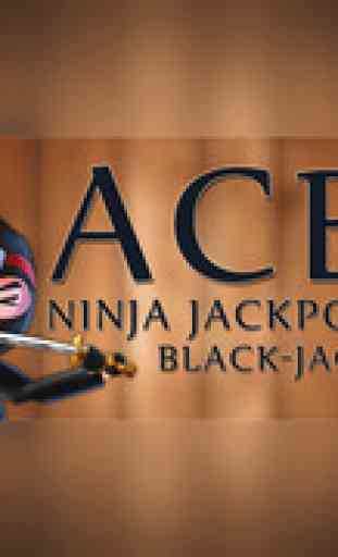 Ace Ninja Jackpot BlackJack Pro - ultimate casino card challenge game 2