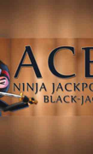 Ace Ninja Jackpot BlackJack - ultimate casino card challenge game 2