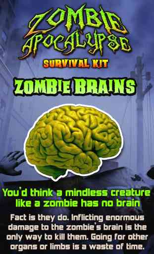 Zombie Apocalypse Survival Kit 3