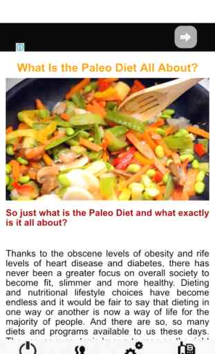 Paleo Diet Program - Complete Beginner's Guide For Paleo Diet 4