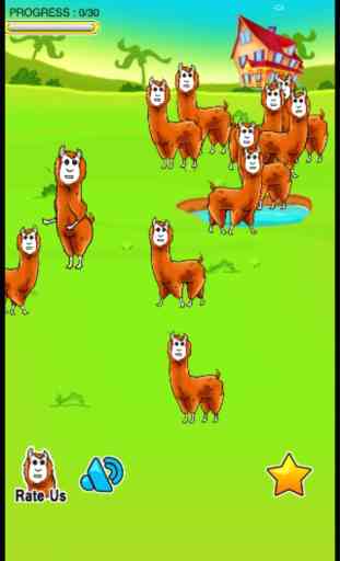 Alpaca Dash - an the branch jump evolution begins 3