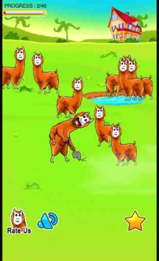 Alpaca Dash - an the branch jump evolution begins 4