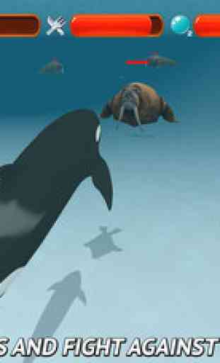 Angry Killer Whale: Orca Simulator 3D 2
