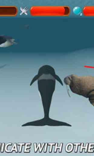Angry Killer Whale: Orca Simulator 3D 3