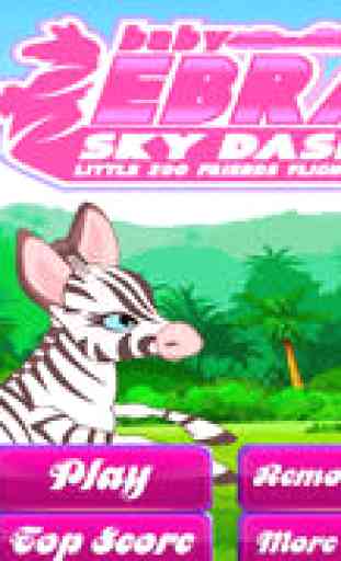 Baby Zebra Sky Dash : Little Zoo Friends Flight 1