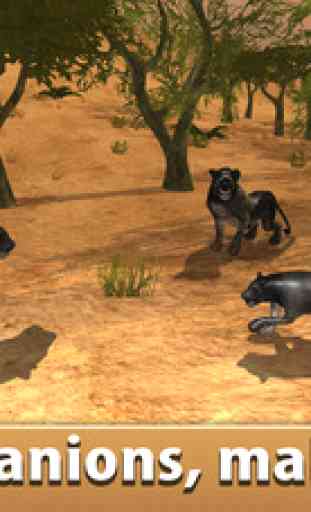 Black Wild Panther Simulator 3D - Be a wild cat in animal simulator! 1