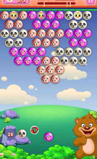 Bear Pop Bubble Wrap Pet Crush - Popping Bubbles Shooter 1