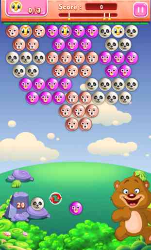 Bear Pop Bubble Wrap Pet Crush - Popping Bubbles Shooter 3