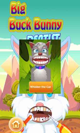 Big Buck Bunny Dentist Pro 2