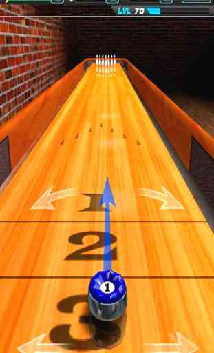Bowling Craze 3D 1