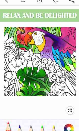 Color Doodle - FREE Adults Coloring Book & Pigment Therapy Page for Anti-Stress Relief 1