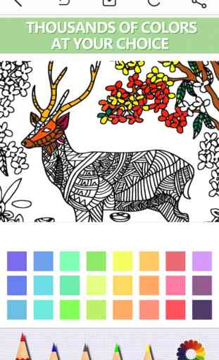 Color Doodle - FREE Adults Coloring Book & Pigment Therapy Page for Anti-Stress Relief 2