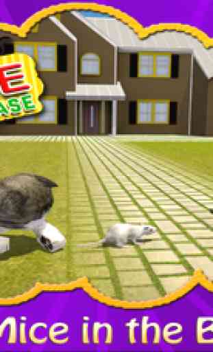 Cat vs Mouse Chase Simulator 3D 3