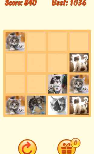 Cats 2048 with mPoints 1