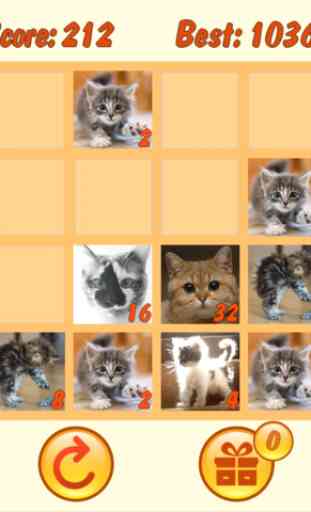 Cats 2048 with mPoints 2