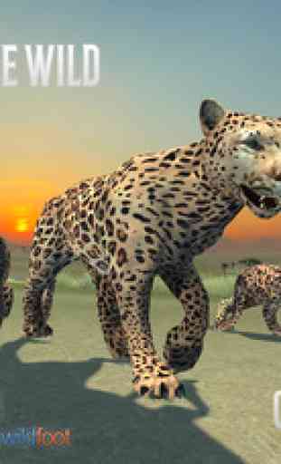 Clan Of Leopards 2
