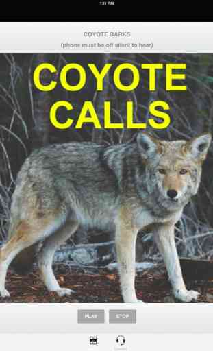 Coyote Calls For Coyote Hunting 2