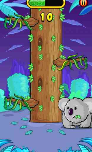 Crazy Koala - Feed Baby Koala Bamboo Cube 2