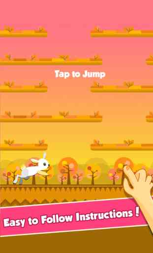 Crazy Rabbit Jump. The Hero Jumpy Bunny Super Running Adventure 3