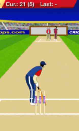 Cricket Power-Play Lite 1