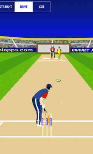Cricket Power-Play Lite 4