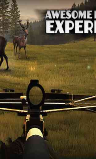 Crossbow Hunting: Wild Animals 4