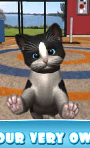 Daily Kitten : virtual cat pet 1
