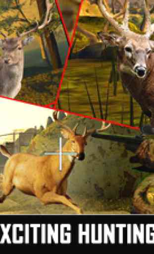 Deer Hunting Impossible Challenge : White-Tail Pro Hunter Adventure 3