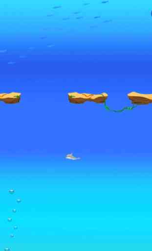 Dolphin Tap Swim - Underwater Maze Diving 4