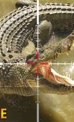 Forest crocodilian hunter: Real Adventure For Kids 4