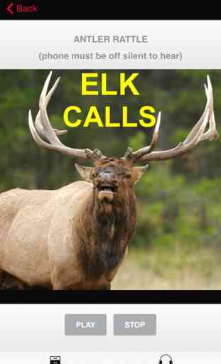 Elk Bugle & Elk Calls 3